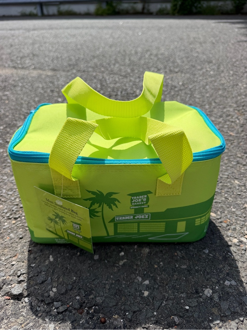 Trader Joe’s Mini Insulated Cooler Bag - Picture 1 of 4